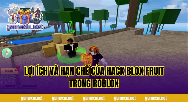 Lợi ích và hạn chế của hack Blox Fruit trong Roblox